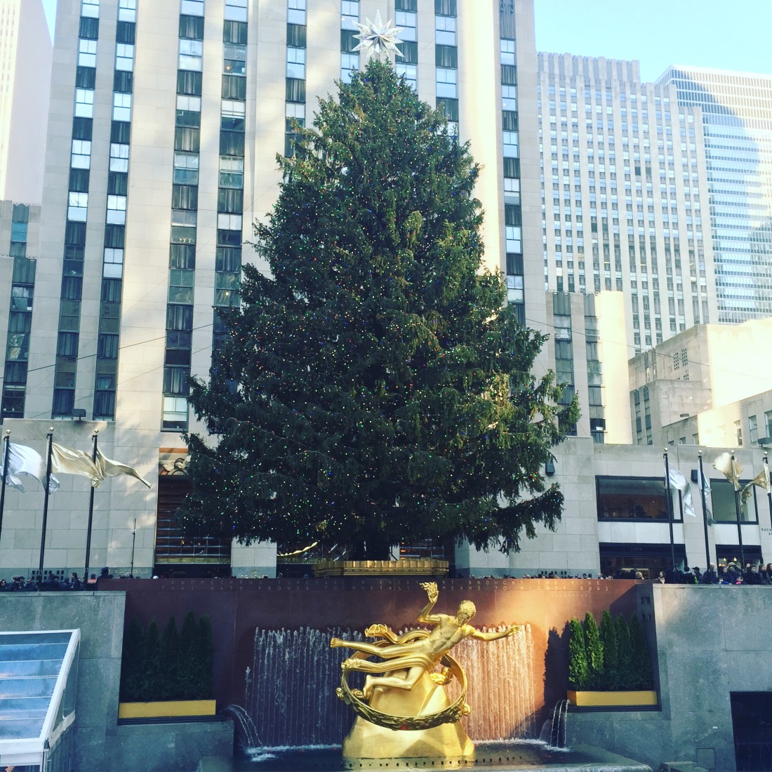 Rockefeller-Center-Christmas-Tree-New-York-City