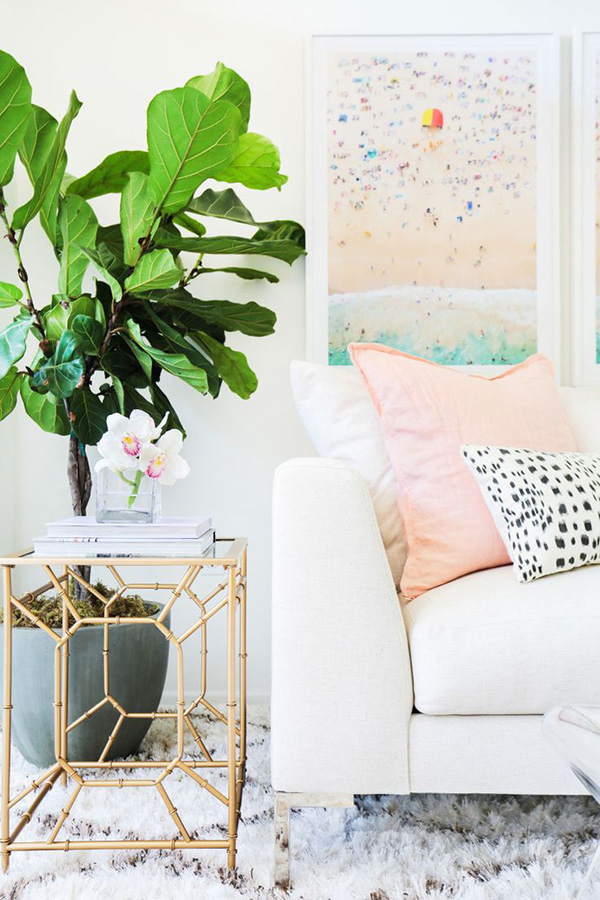 How To Decorate With The Fiddle Leaf Fig Tree